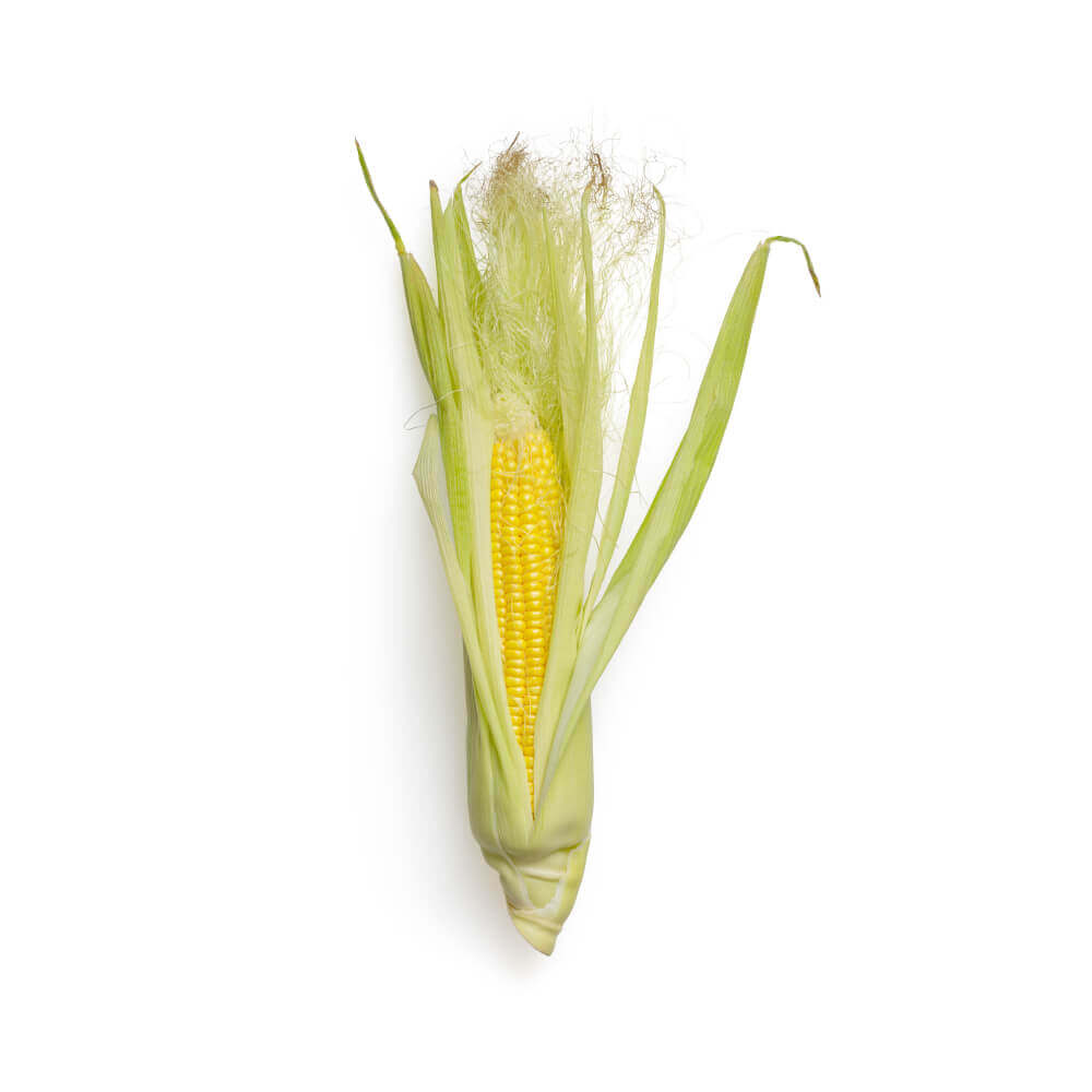 Ngô hữu cơ Bio 1